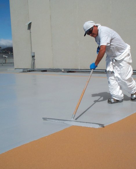 Case Polyol Sistemler